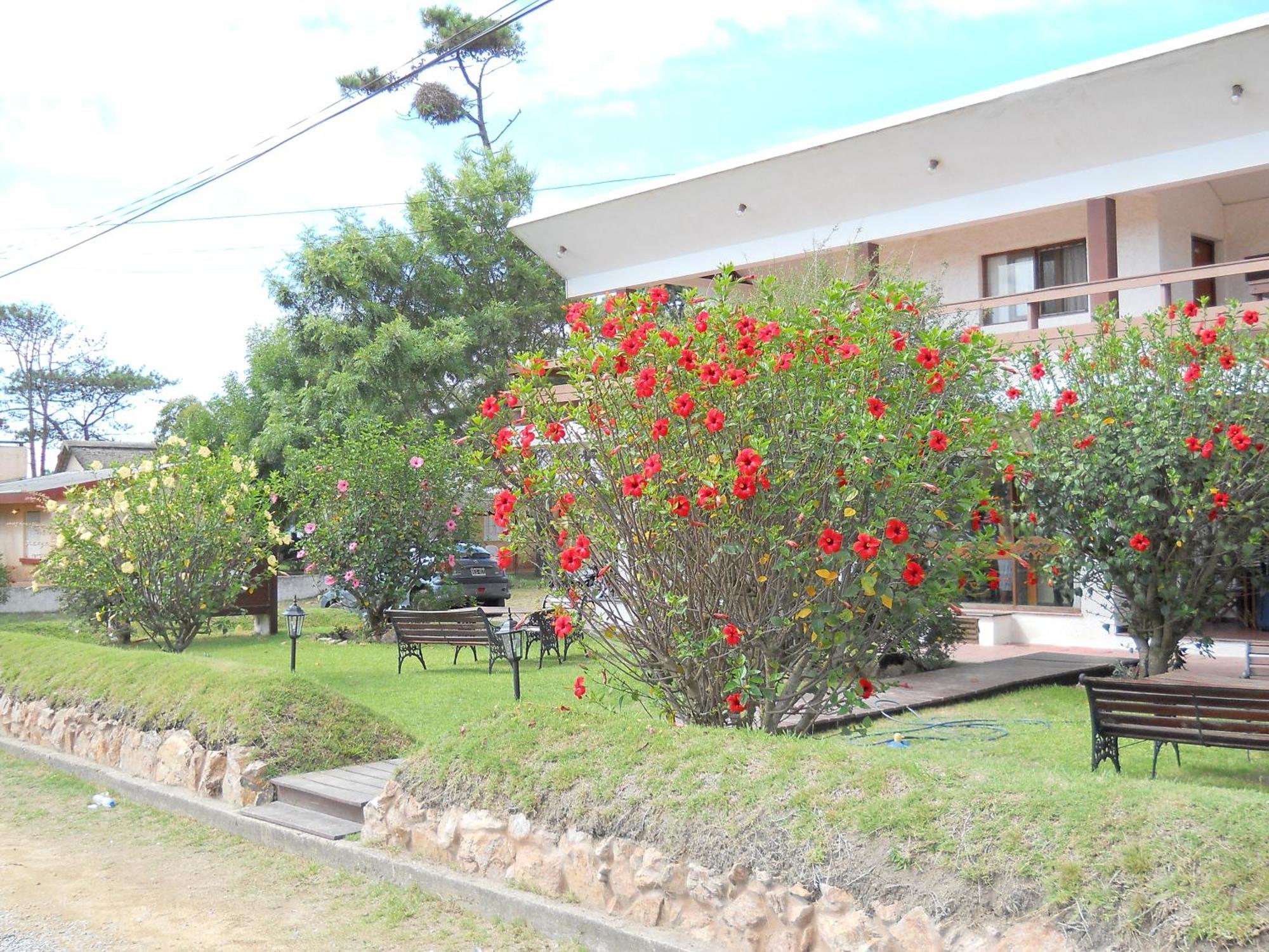 Hotel Yeruti ลาปาโลมา ภายนอก รูปภาพ
